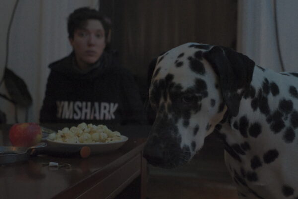 Aurora the Dalmatian Model - Image 10