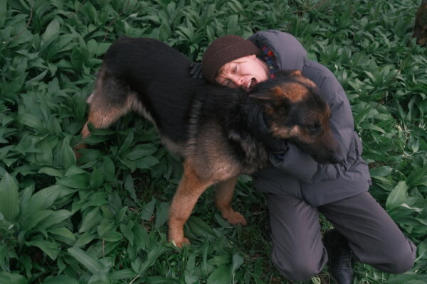 Pet photography per 1 hour - Image 16