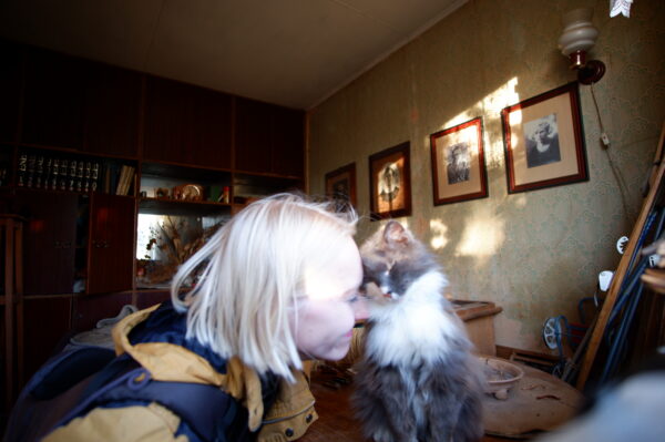 Pet photography per 1 hour - Image 11