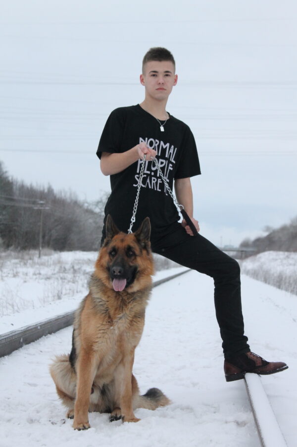 Pet photography per 1 hour - Image 4