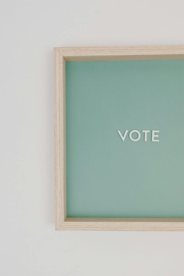 Simple flat lay with vote sign on a green background in a wooden frame.